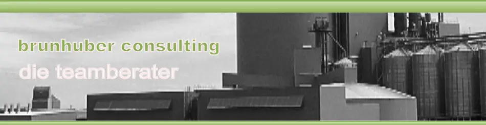 Brunhuber Consulting